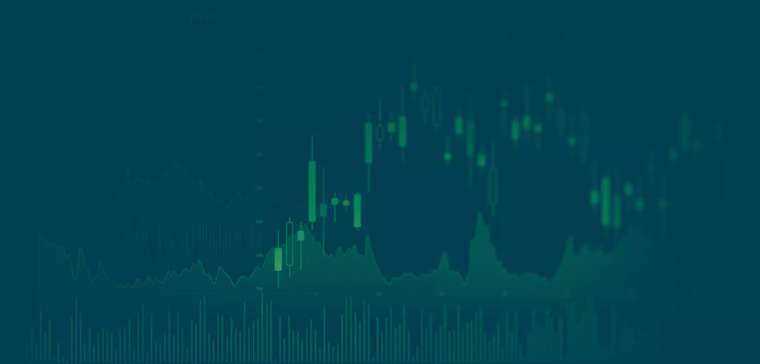 section background