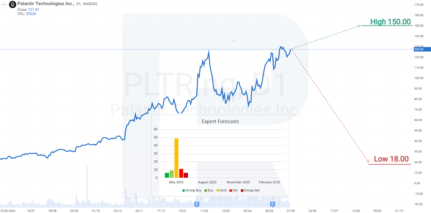 Image of the company name Palantir Technologies Inc.